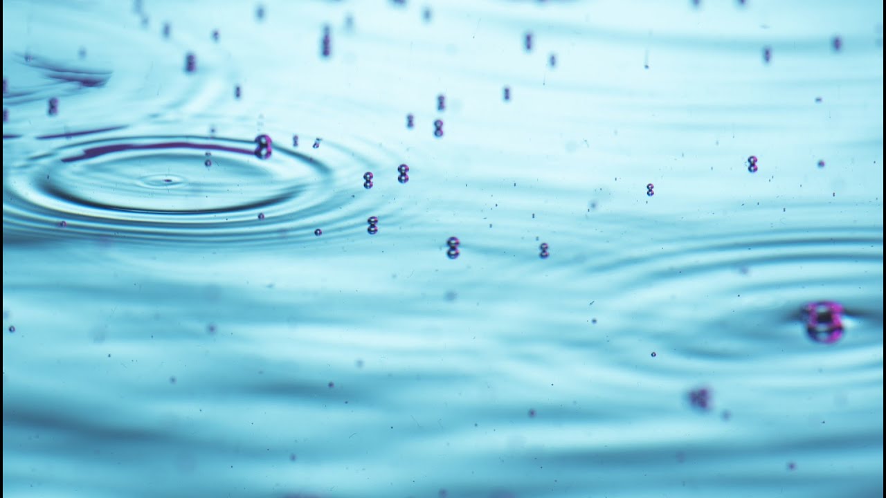The Calm of Falling Rain