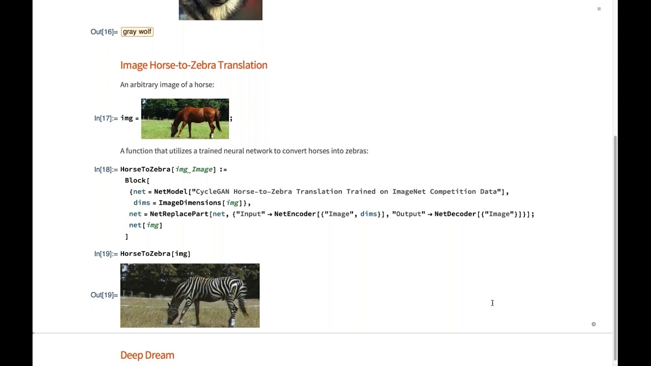 Image Processing with Deep Neural Nets