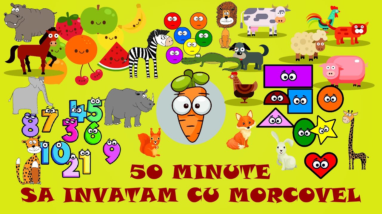 50 Minute Sa invatam cu Morcovel (Zilele, Lunile, Anotimpurile, Alfabetul, Numerele, Culorile...)
