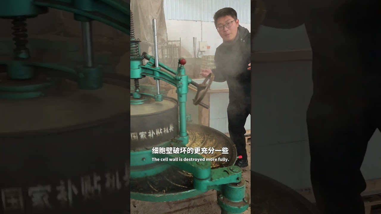 揭秘野生茶制做过程 Revealing the secrets of wild tea production