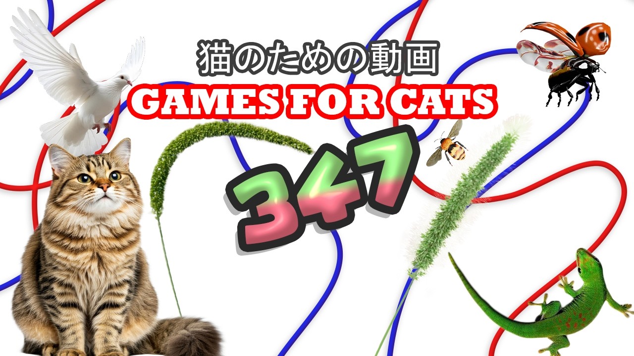 【Cat Games MIX 347】Cat TV 猫用フルスクリーン｜ネズミ・トカゲ・鳥・ヒモ | 8時間 🐱🐭