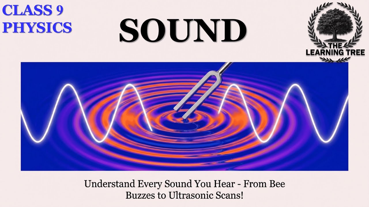 Sound Class 9 | Chapter Summary, Explanation in English | Science Physics Chapter 11