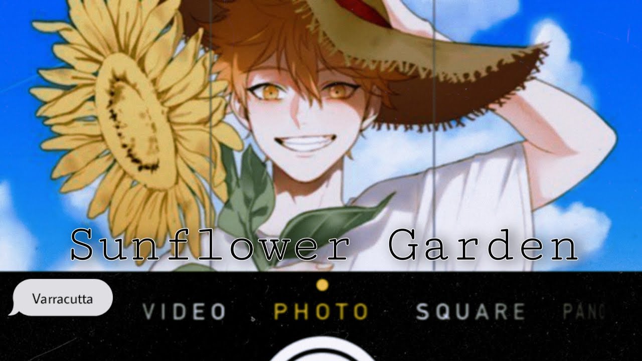 Sunflower Garden || UshiHina, KitaHina, Hinata Harem || Haikyuu AU ⚠️TW⚠️ Please read desc.