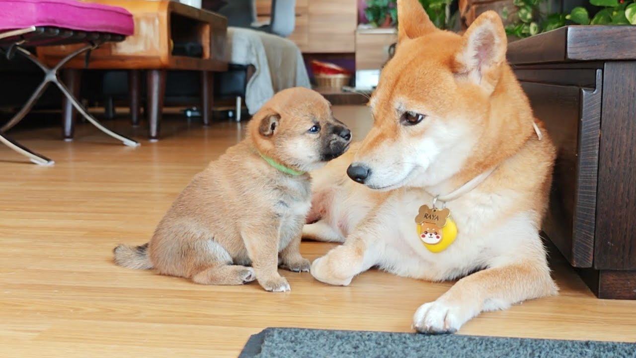 Cute moments between mom & daughter 