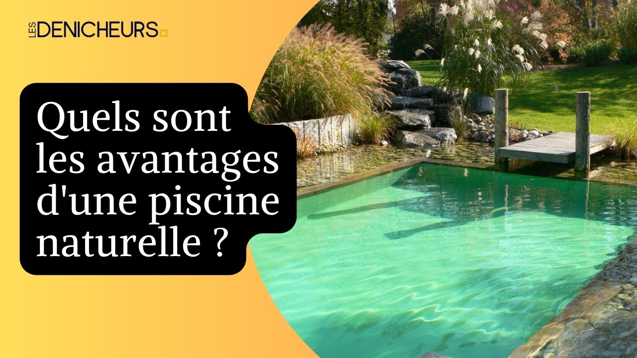 💦 Une piscine naturelle pour l’été : est-ce une bonne idée ?🧐🔍