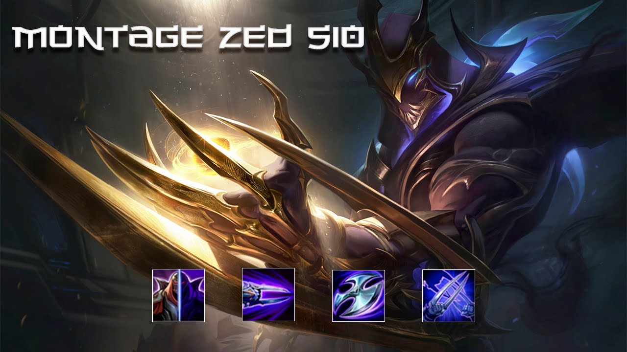 MONTAGE ZED S10 - ZoAiL