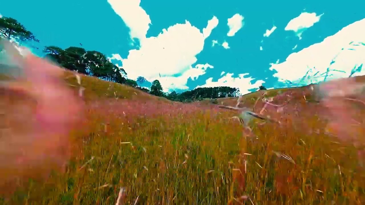 4K FPV Drone Tour of Kibena, Njombe 🌲 | Green Fields & lots of Oine Trees!