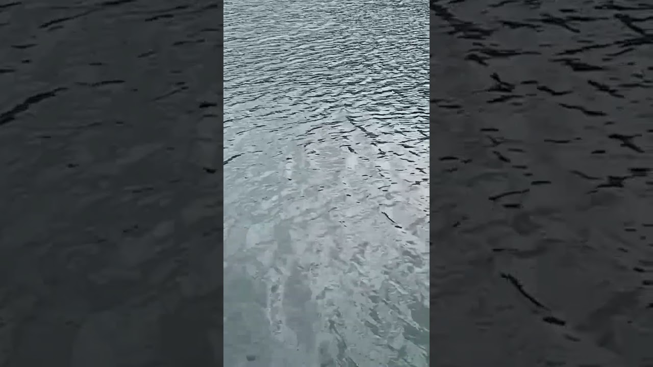 mancing waduk tugu Trenggalek