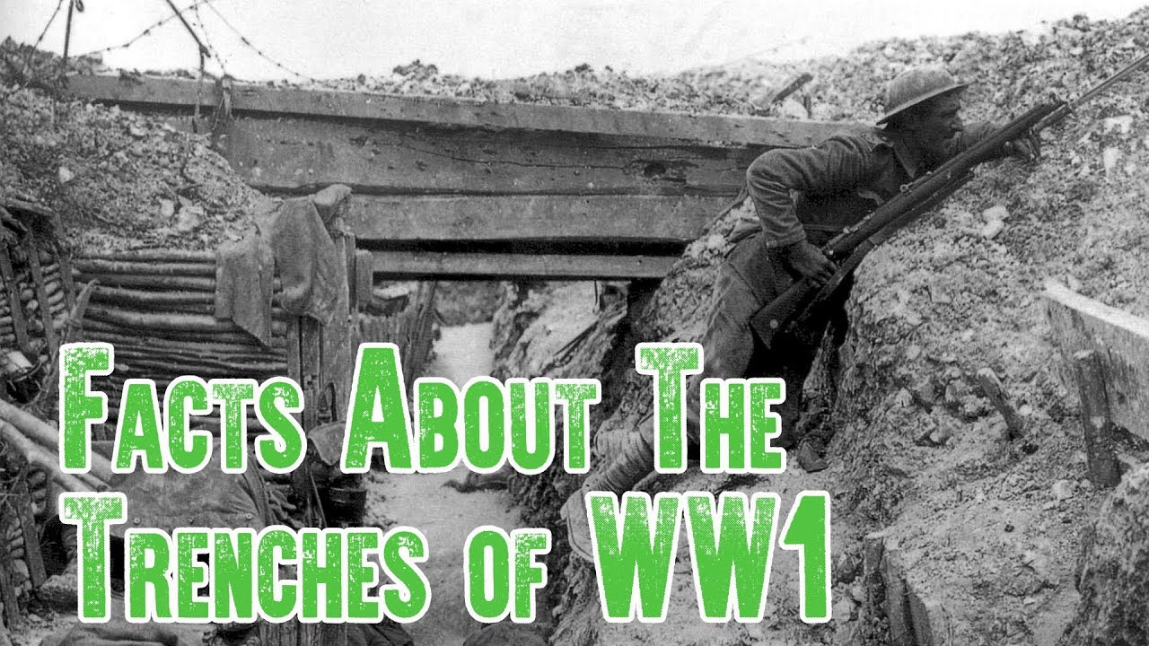 Trench Warfare Facts | The Trenches of WW1