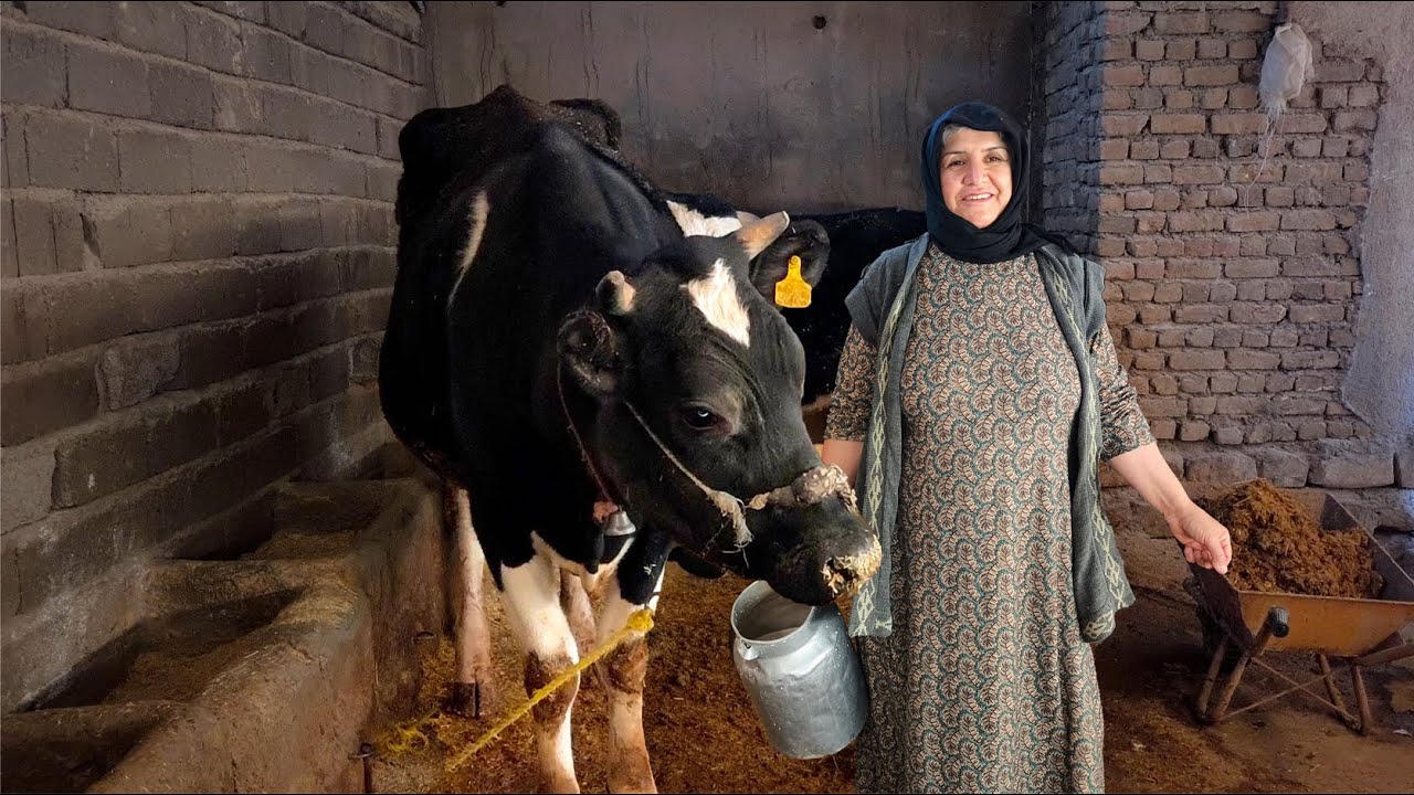 Village Life 🌿 Fresh Milk, Traditional Rice Pudding & Pure Rural Living 🥛🔥