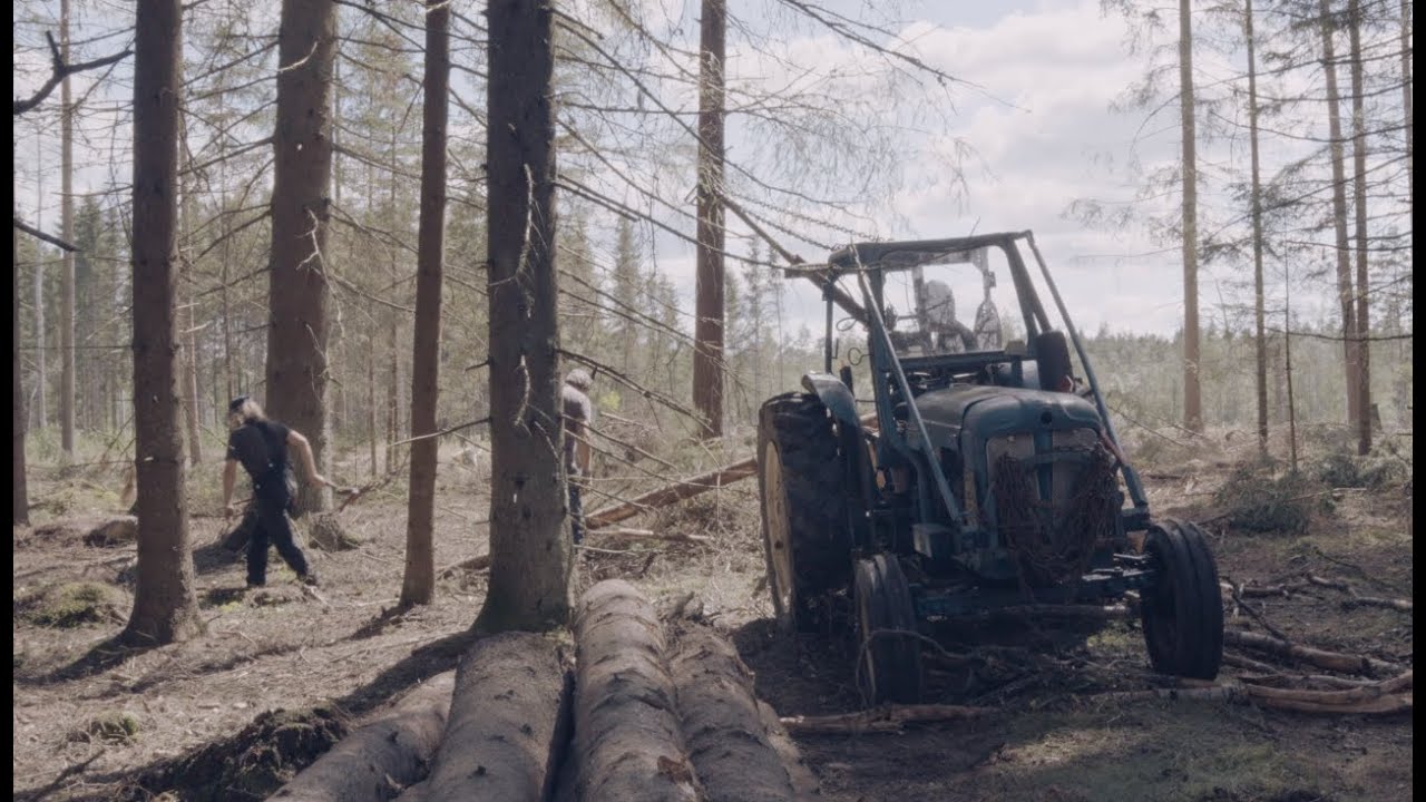 Logging with a Fordson Power Major 1959