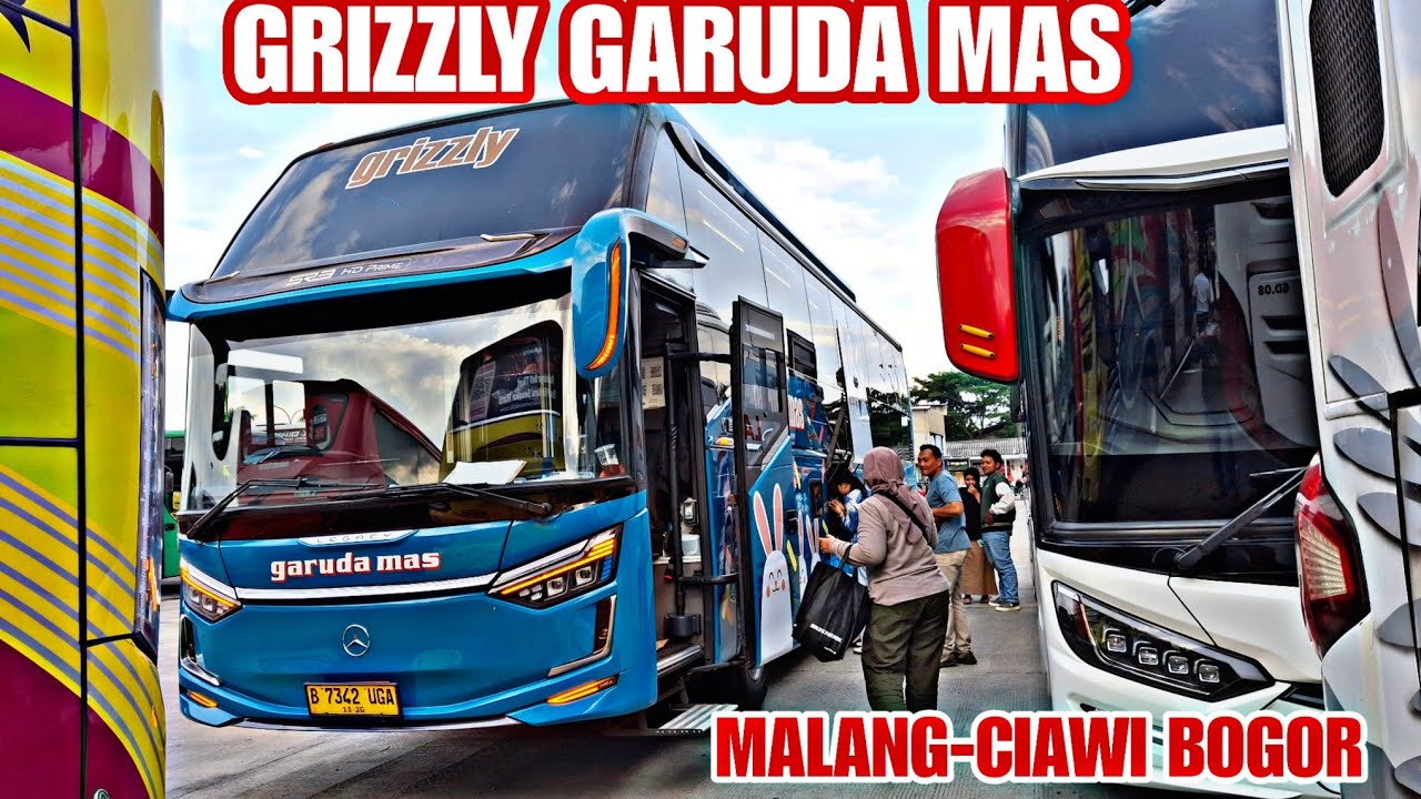 GARUDA MAS GRIZZLY MALANG CIAWI MASUK PENJEMPUTAN,GEBRAKAN BARU SINAR JAYA TERJUNKAN ARMADA TERBARU