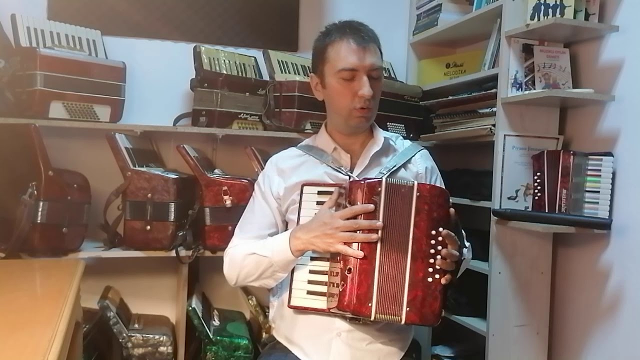 Çocuk akordeonu nasıldır? Akordeona nereden başlanır?