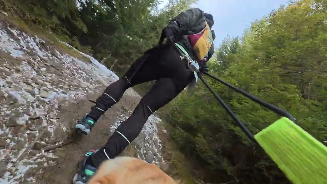 Turbacz Winter Trail na 6 Łap  2025