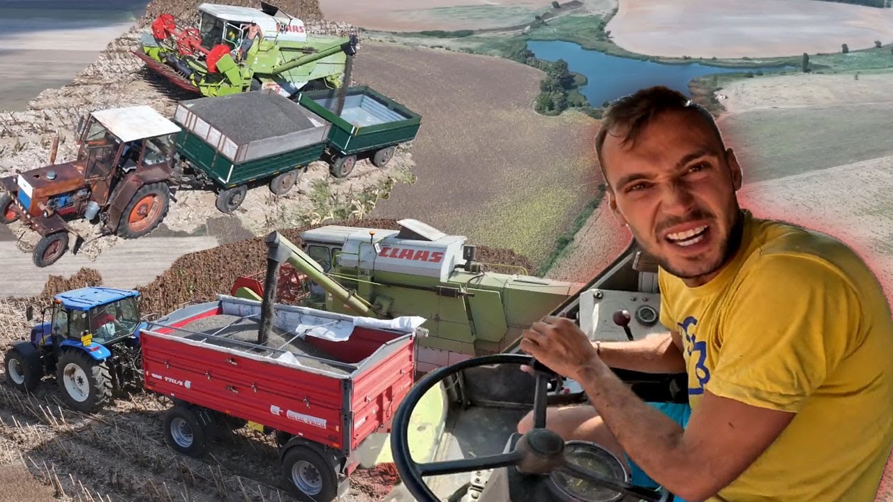 NAPI VLOG: BÉRMUNKÁZNI VOLTAM A DOMINÁTORAL🤠