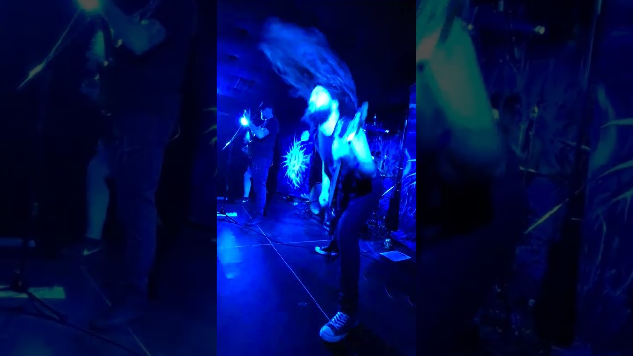 ANALEPSY - LIVE IN DENMARK 