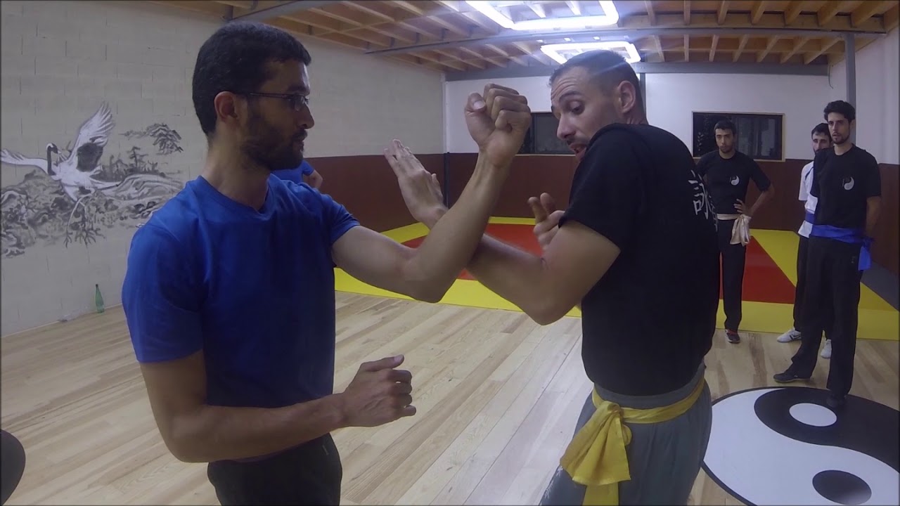 Wing Chun Toulouse - Extrait de cours