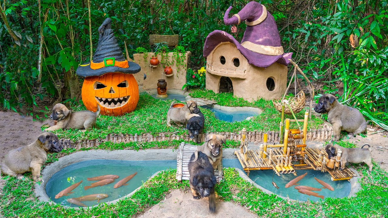 Dog Rescue And Building Mud Dog House With Fish Pond For Red Fish