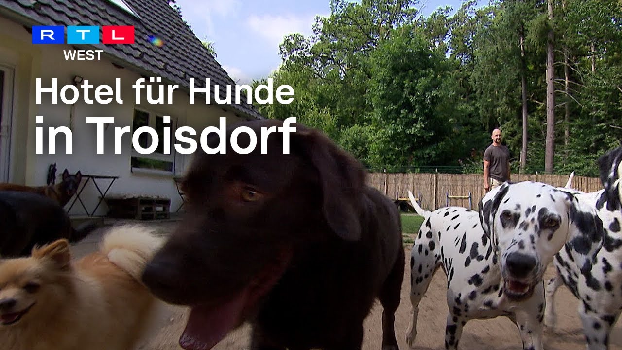 Hotel für Hunde | RTL WEST