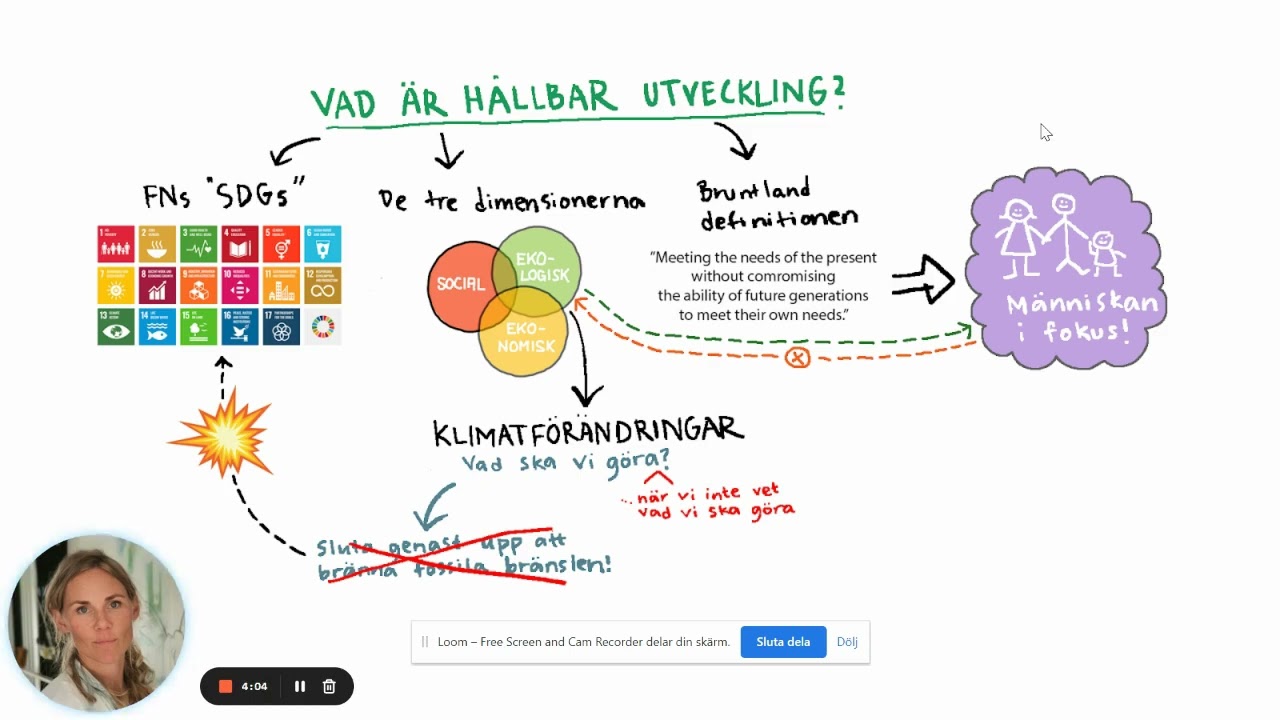 Vad är hållbar utveckling?