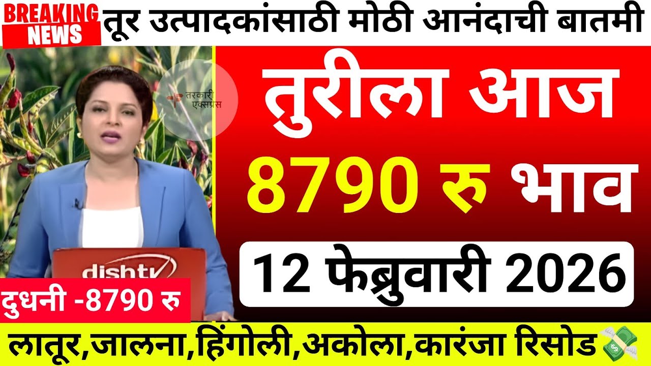 तुरीला आज सर्वाधिक 8790 रु भाव| tur bajar bhav akola|Tur bajar bhav jalana|tur bhav today