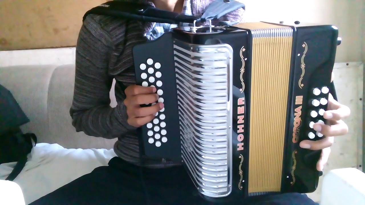Tutorial la pava congona inscribete a mis clases al 8124381897