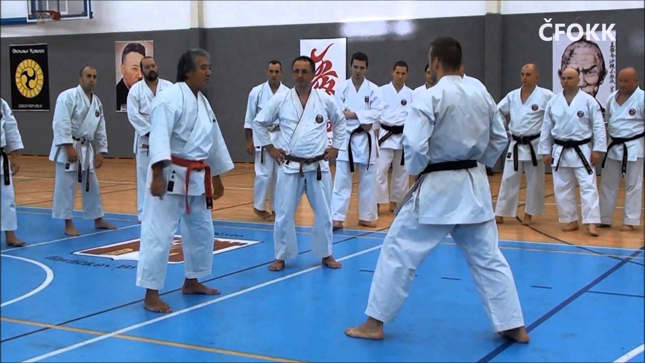 POZVÁNKA NA SEMINÁŘ 2016 OKINAWA KARATE A KOBUDO - KENYU CHINEN
