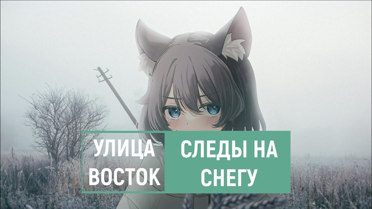 улица восток — следы на снегу