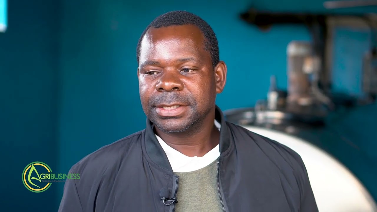 dairy value chain in ZIMBABWE