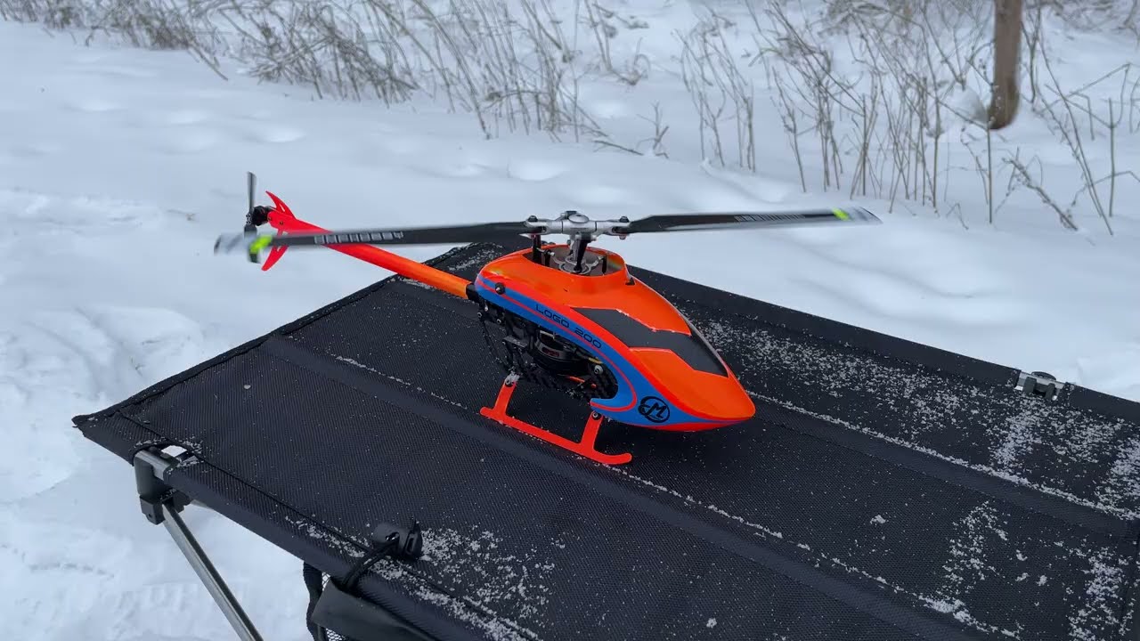 Logo 200 winter flight
