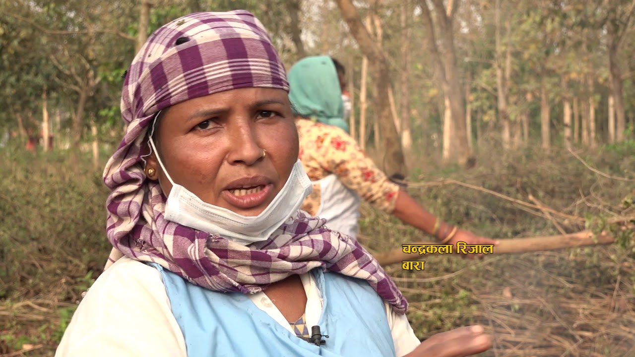 Comprehensive video about charcoal production and consumption