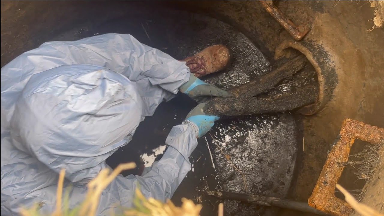 Drain Complaint 252 | ROOTS! Multiple Manhole blocked |