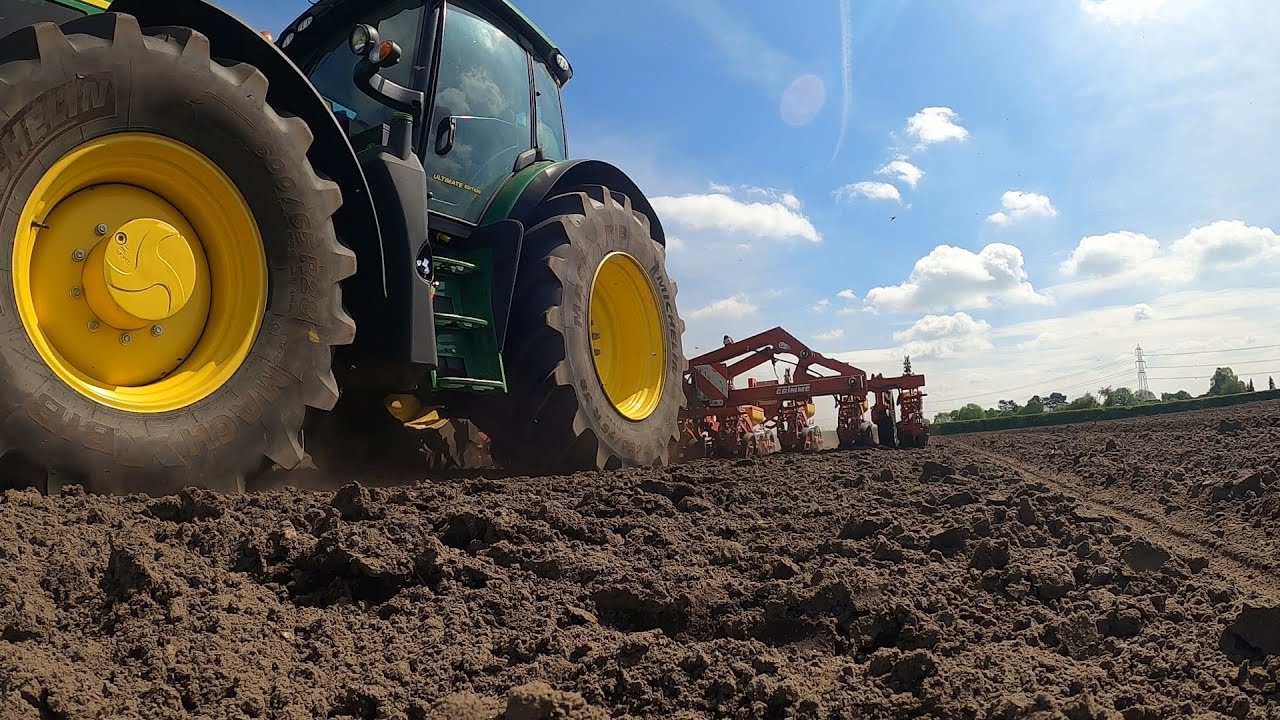 Fodder Beet Drilled , Cattle Out.