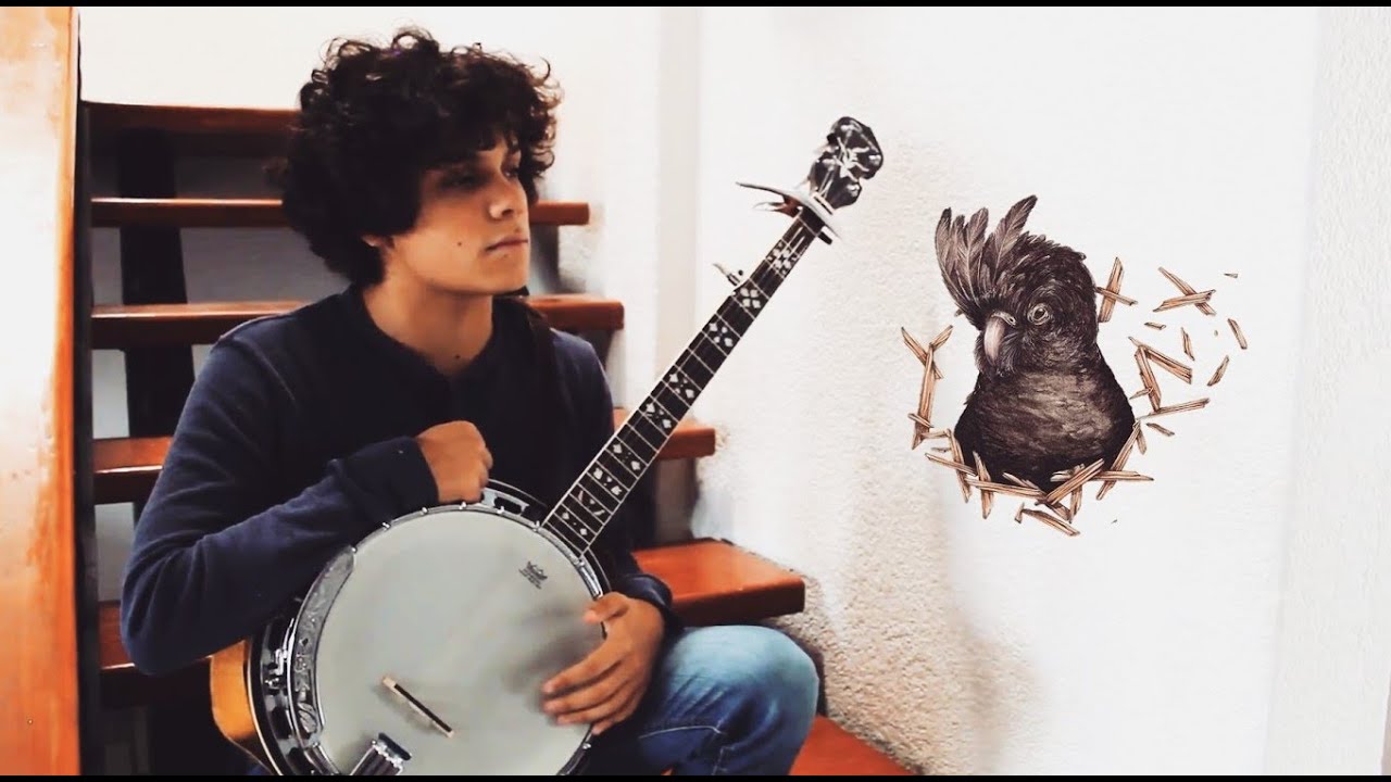 The Farmer | Sons of the East | Banjo Cover (With Tabs) | El Niño Banjo