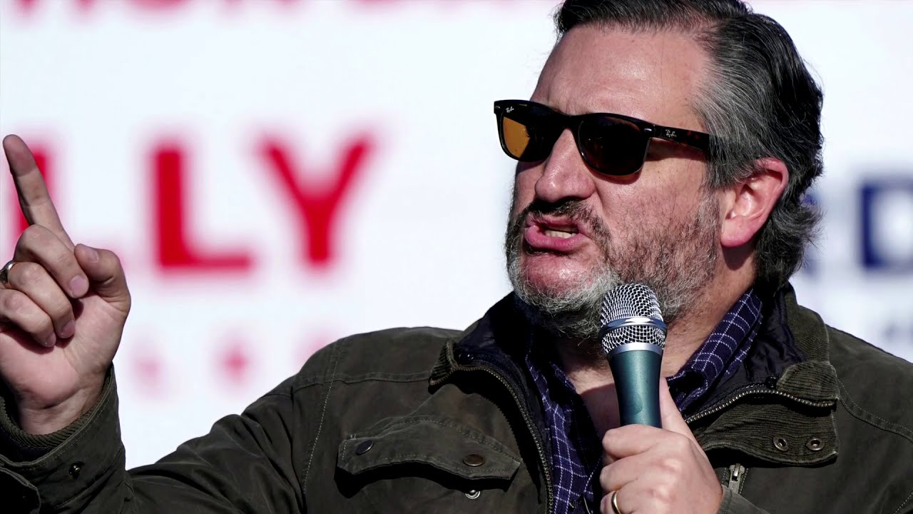 Ted Cruz leads Republican challenge to Biden win