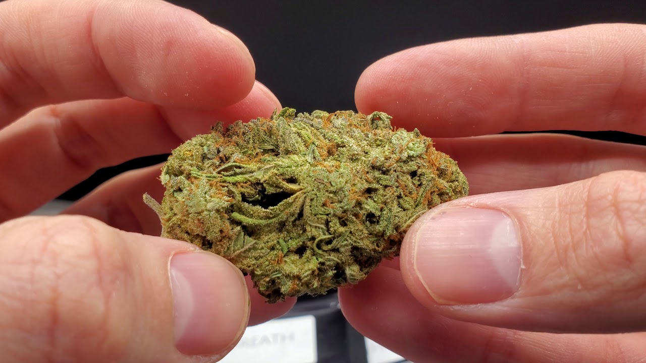 Unboxing Mail Order Marijuana- Gold Dreams