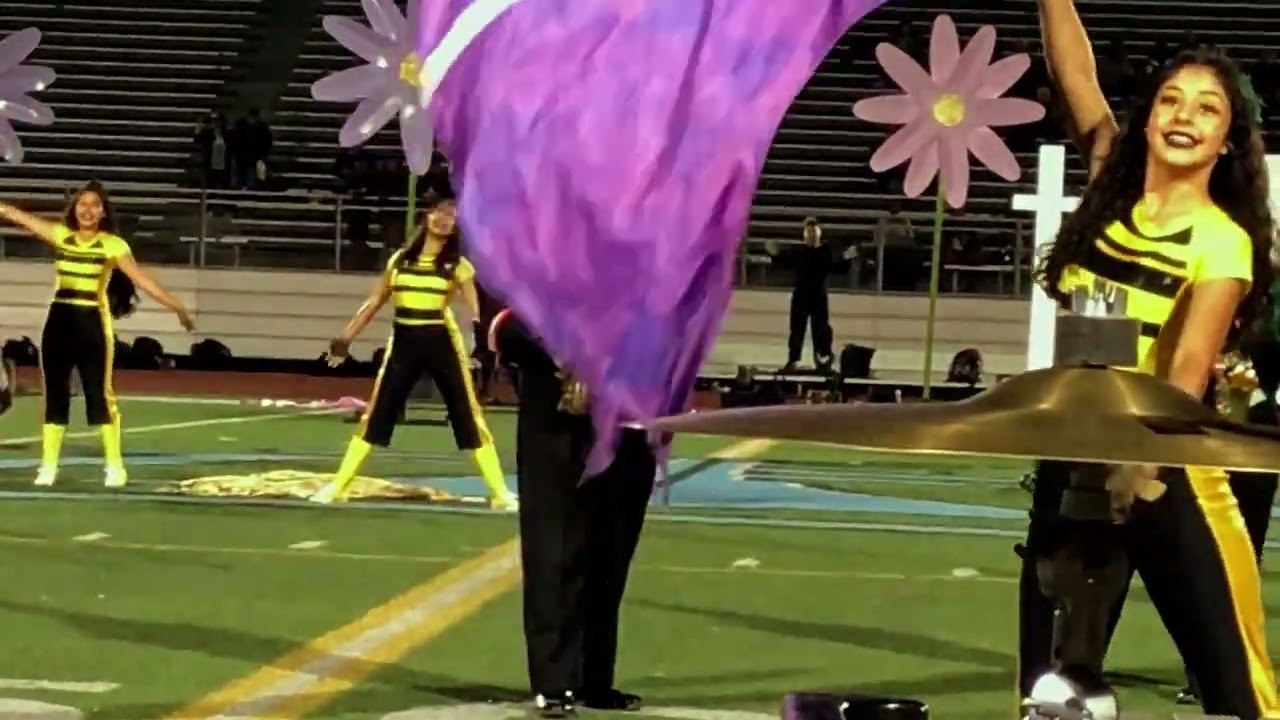 Riverside Polytechnic Band and Color Guard, Halftime Performance. 10/4/2019