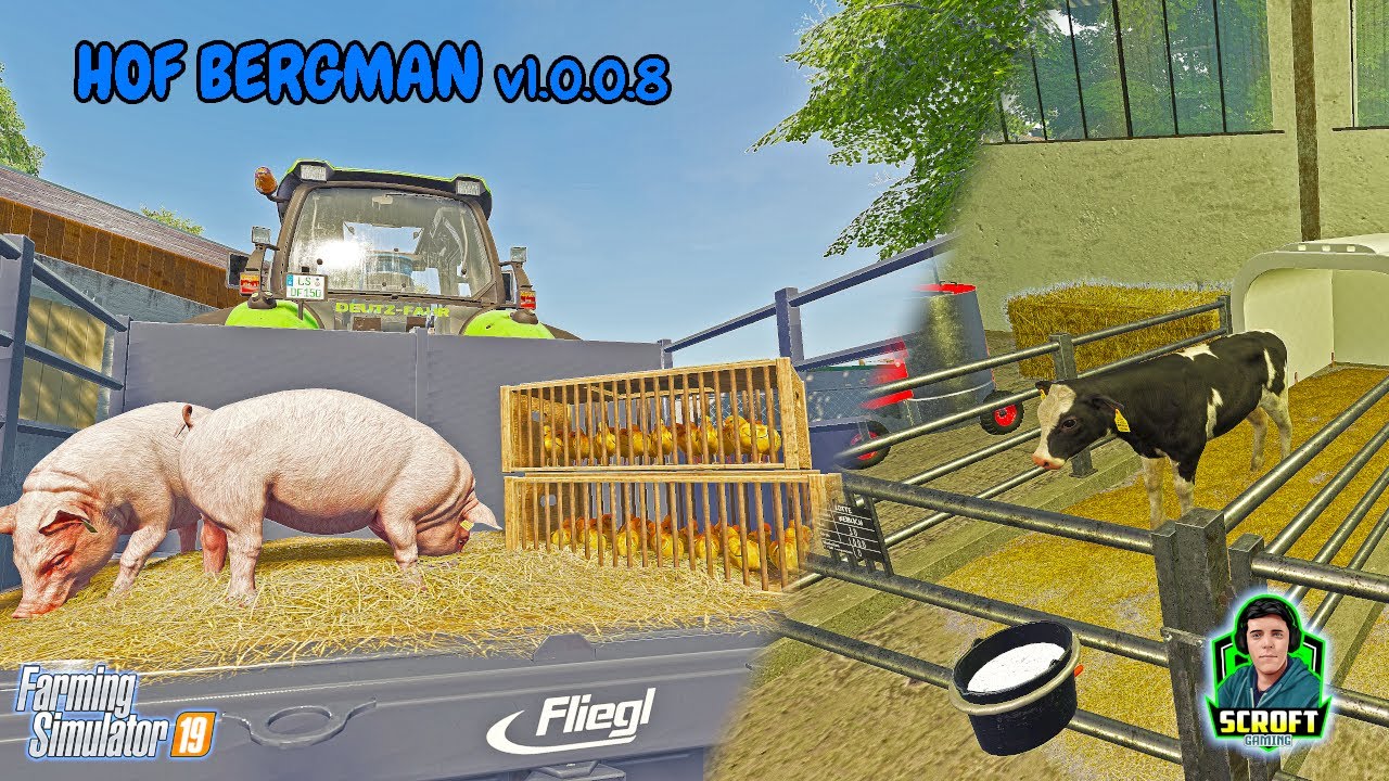 Piglets, Calves & Chicks | FS19 | Hof Bergmann(1.0.0.8) Ep.7 🐂
