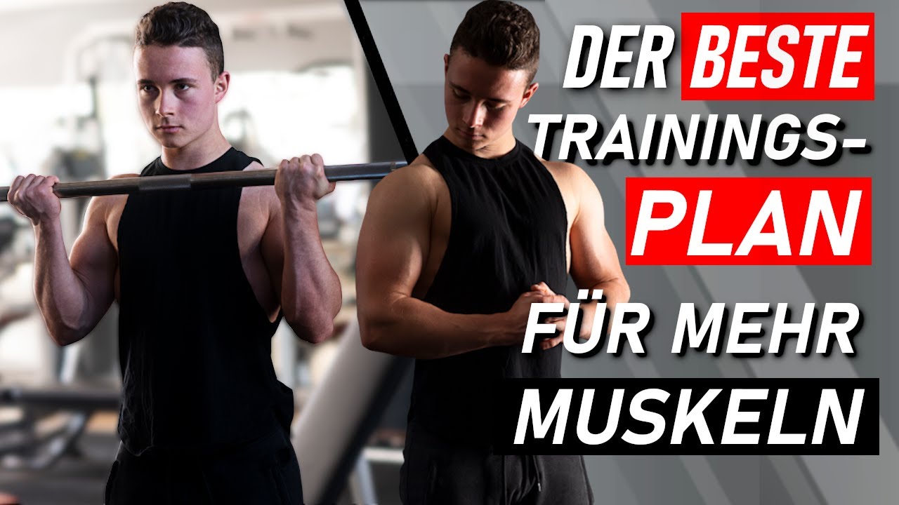 Sofort Muskeln aufbauen mit diesem Trainingsplan!