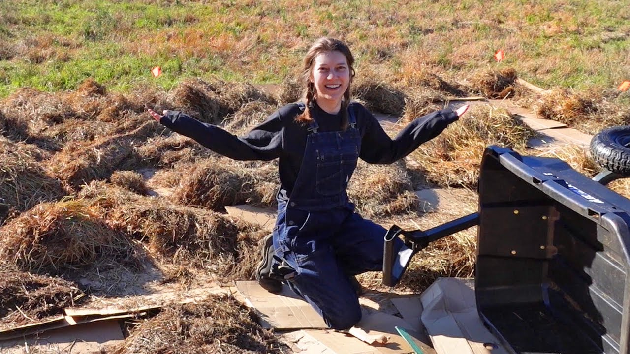 Building a NO-TILL Garden from Scratch! | Ohcluck