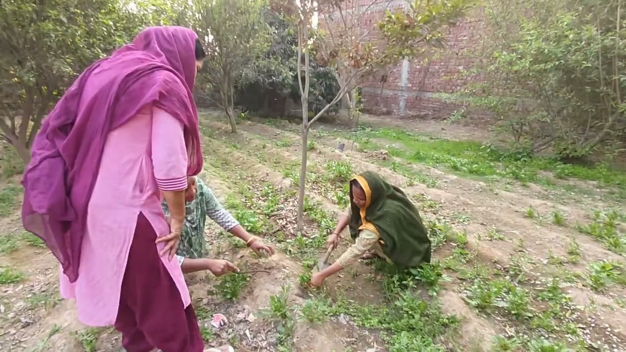 #ਬੀਬੀਆ ਦੀਆਂ ਚੁਗਲੀਆਂ #😂😂