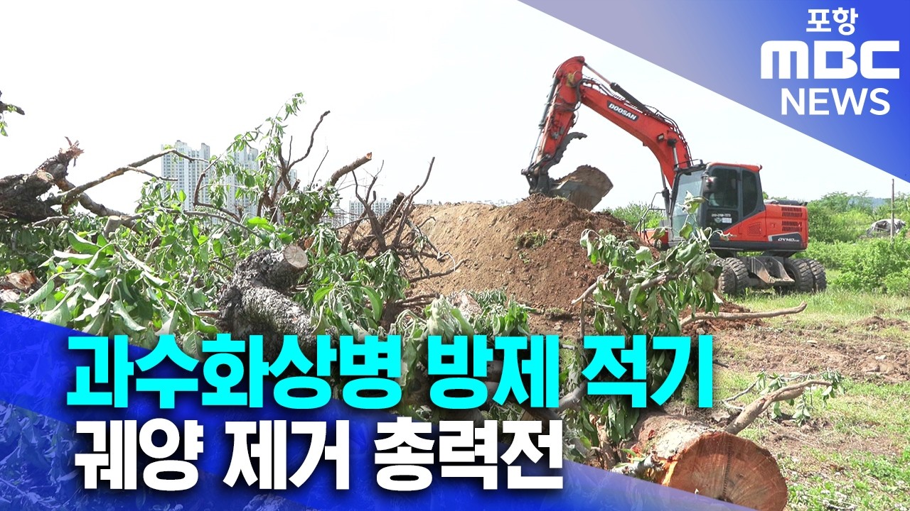 과수화상병 방제 적기..궤양 제거 총력전 (2026.02.24/뉴스투데이/포항MBC)