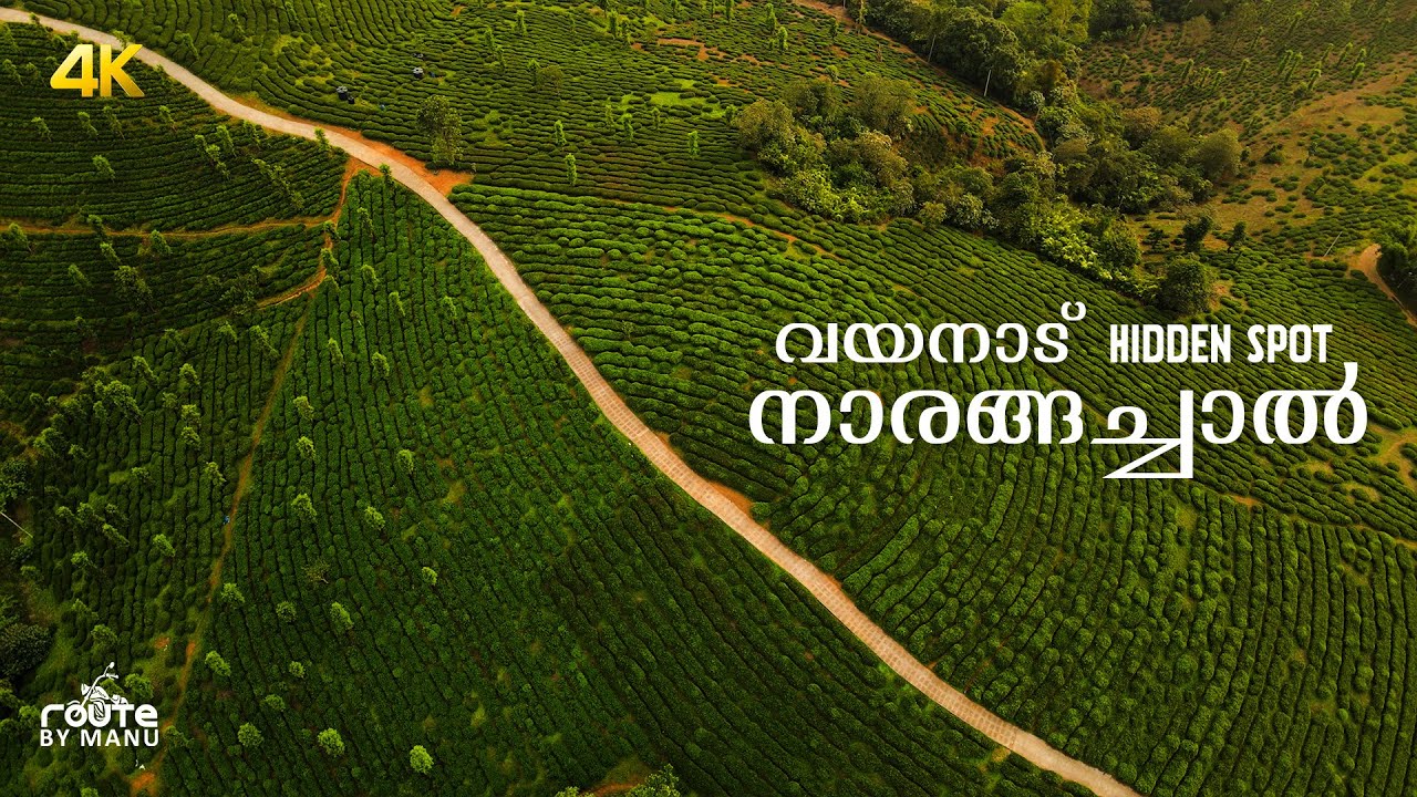 Hidden Spot for Sunset in wayanad I Narangachal I നാരങ്ങാച്ചാൽ I Korom I കോറോം