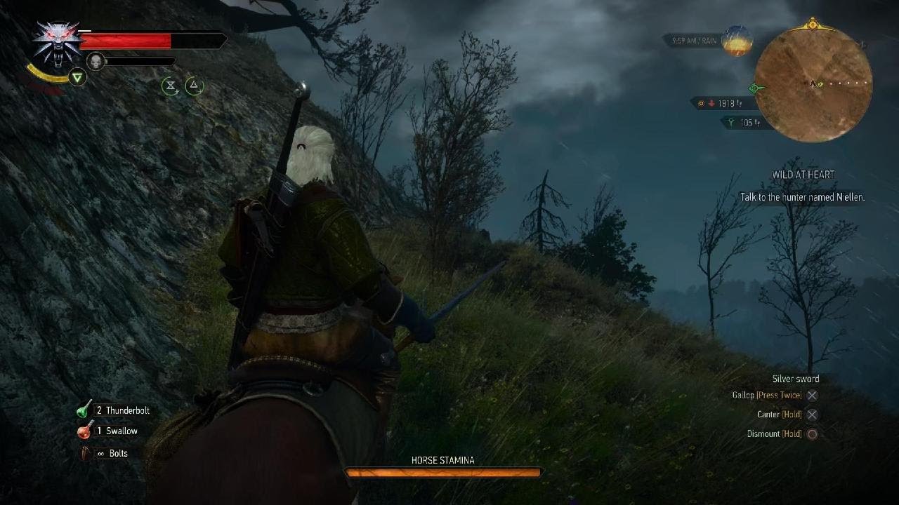 The Witcher 3: Wild Hunt random Baskilisk kill