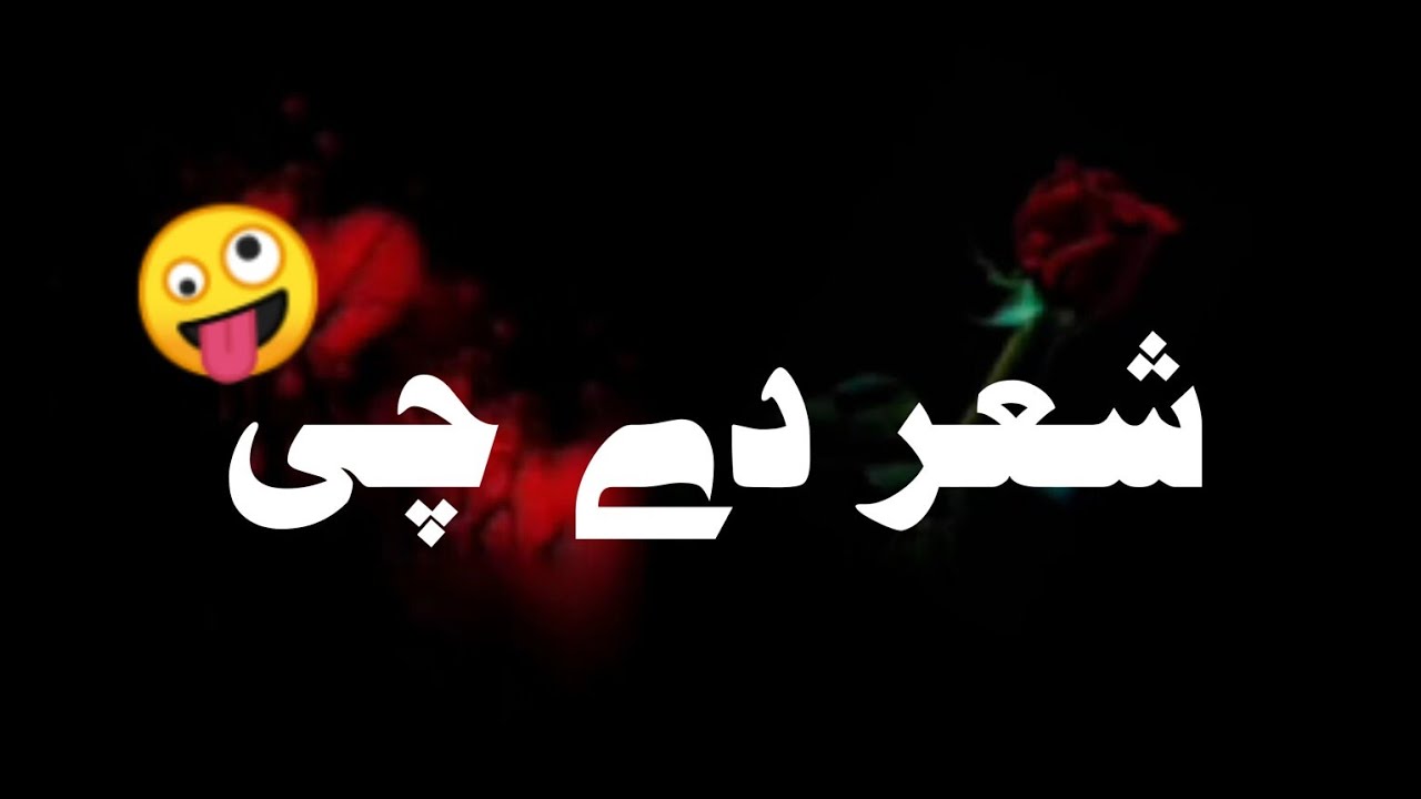BLAKE SCREEN NEW STATUSES || K.M.TYPIST || EPISODE 66 || BLACK SCREEN FUNNY STATUSES