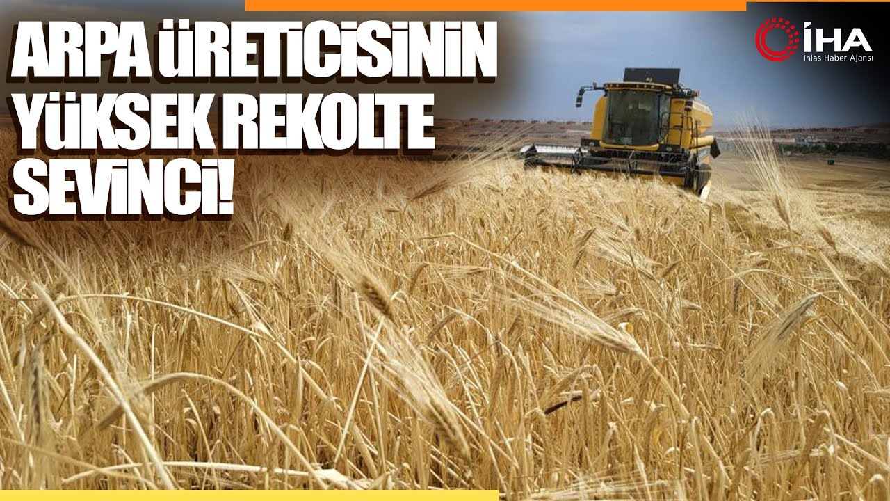Biçerdöverlerin Arpa Tarlalarına Girdiği Adıyaman’da Hasat Başladı
