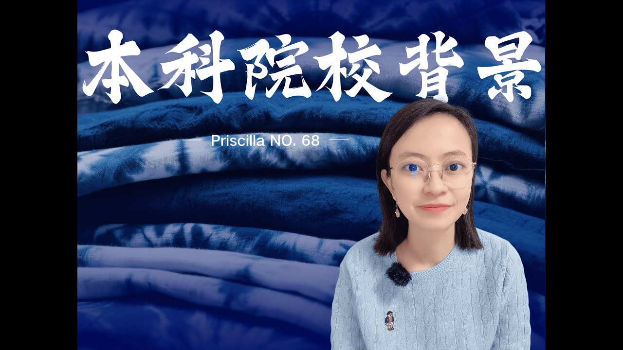本科院校背景