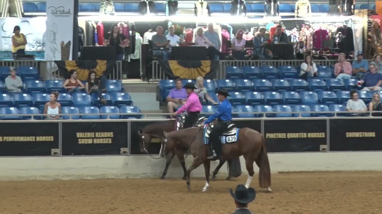 2022 NSBA World Show Junior Western Pleasure