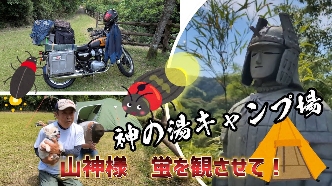 Kawasaki W800でゆく【蛍乱舞！神の湯キャンプ場】知る人ぞ知る名湯・紫尾温泉も満喫！