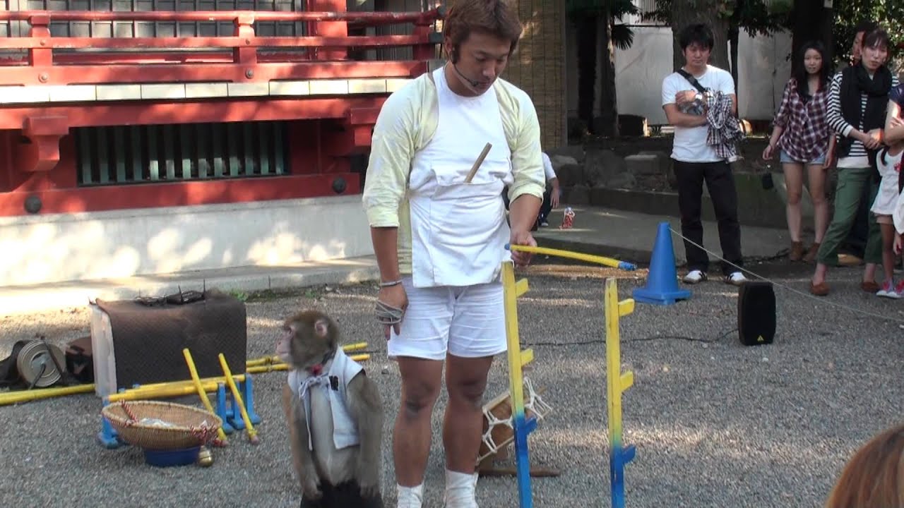 日本淺草寺耍猴戲